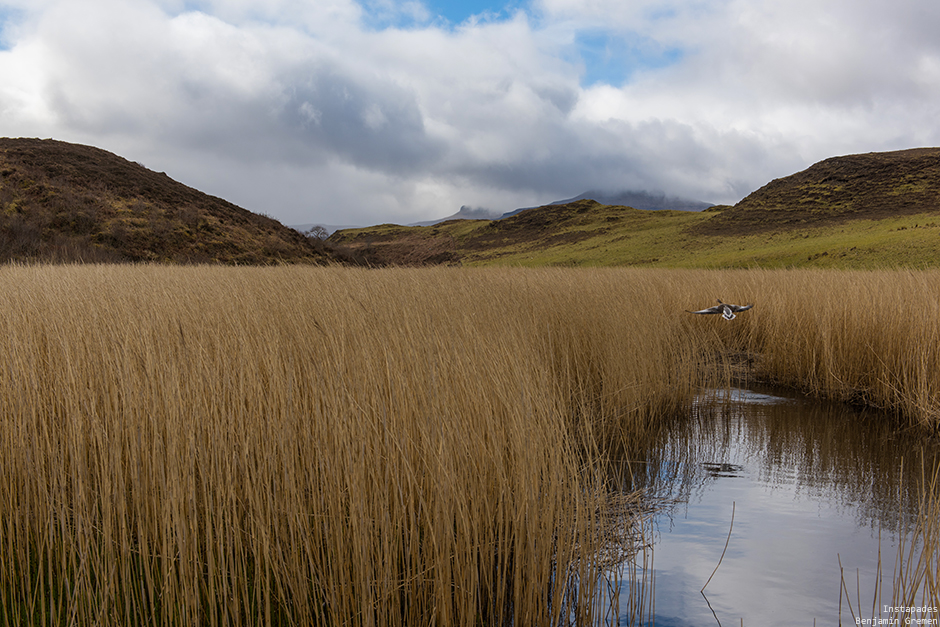 W_5553-J7_Loch-Dunvegan