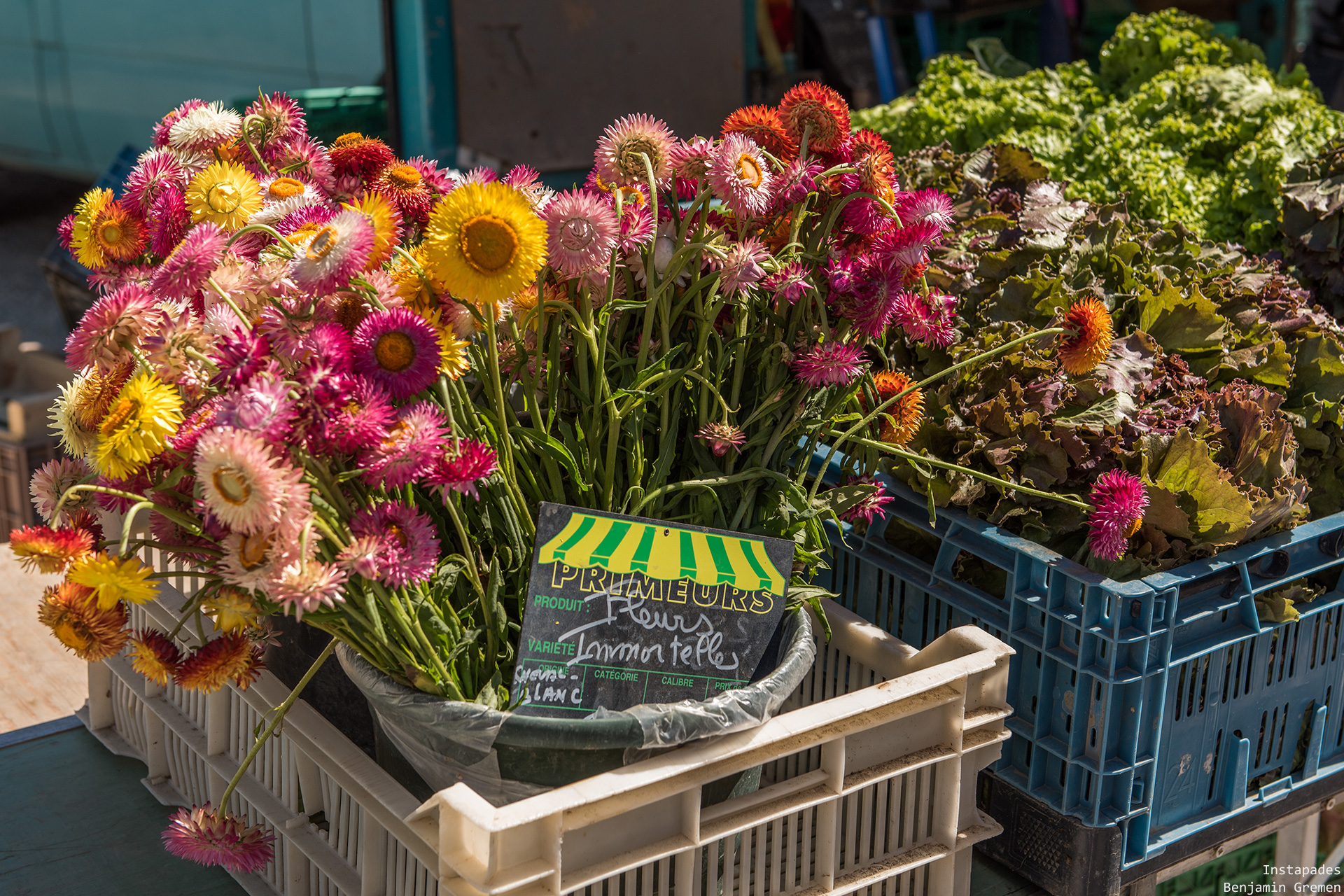 coustellet-marche-fleur2