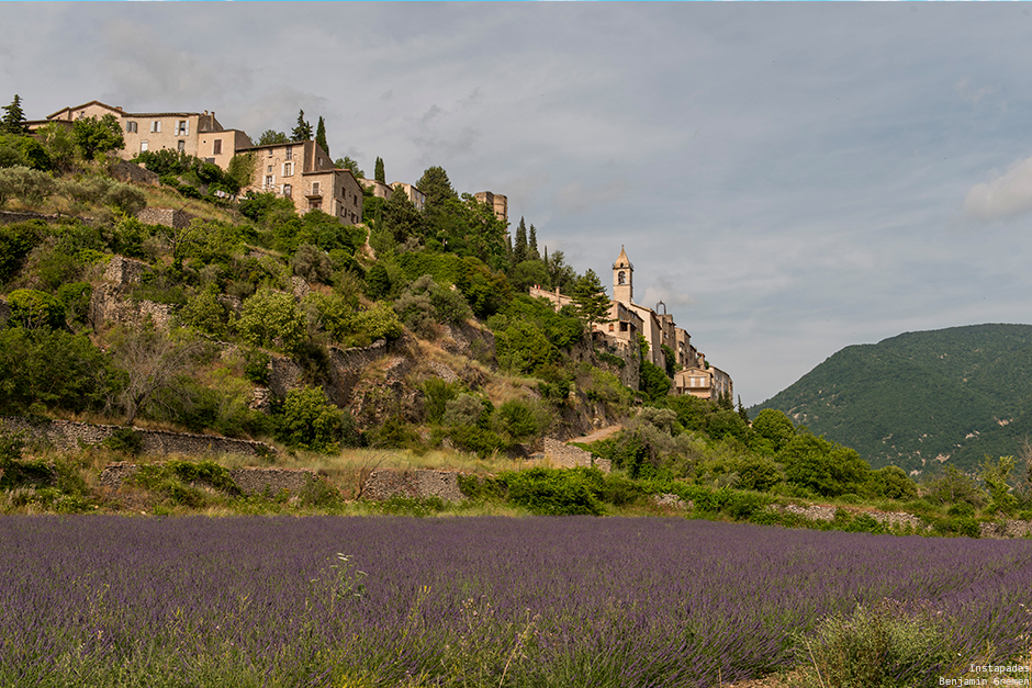 montbrun-les-bains-lavande-champ