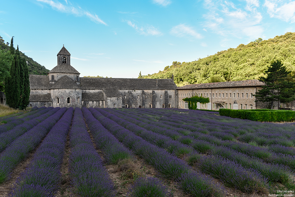 senanque-abbaye-lavande-champ