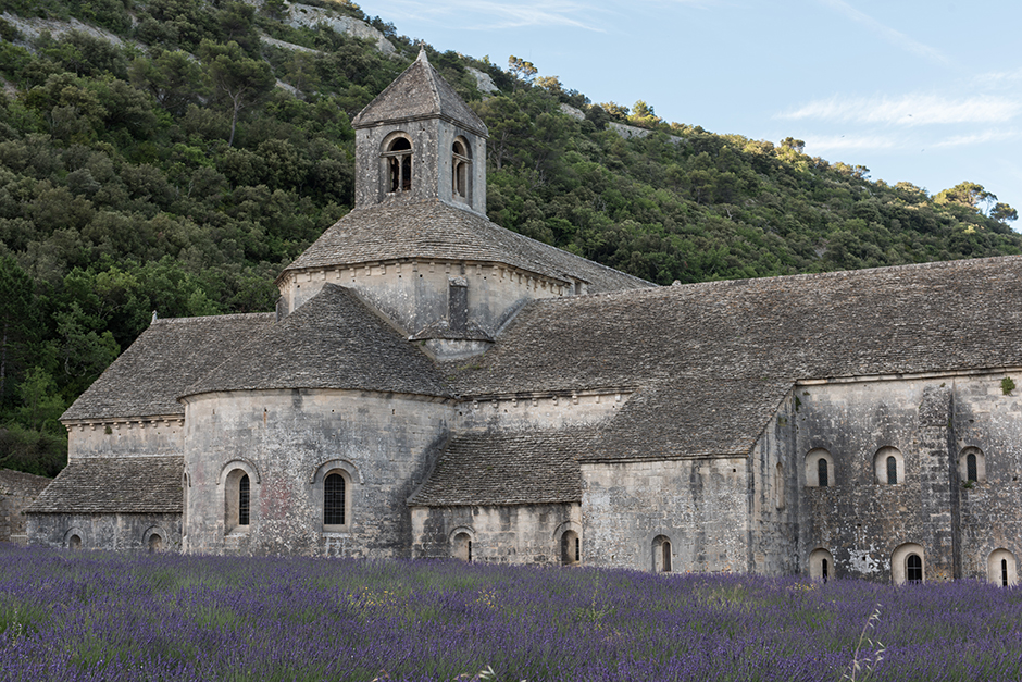 senanque-abbaye-lavande-champ2