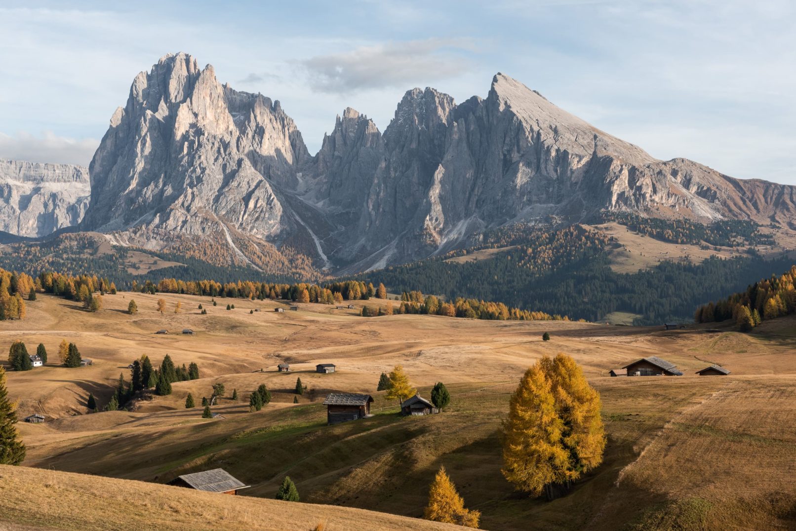 chalets dans un champs devant les montagnes