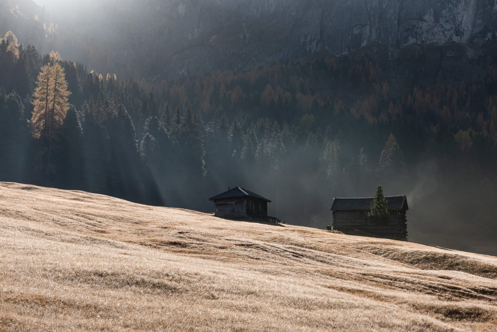 chalet dans une prairie