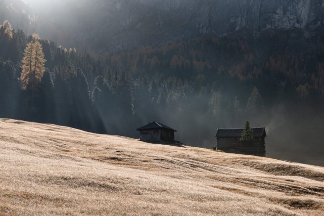 chalet dans une prairie