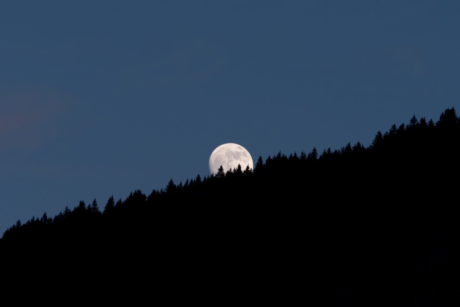 évolution de lune derrière des sapins