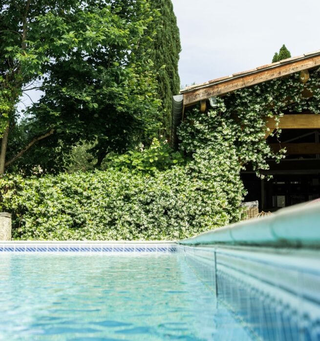 piscine avec végétation