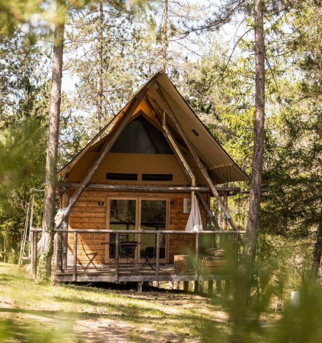 cabane en bois dans forêt de pins