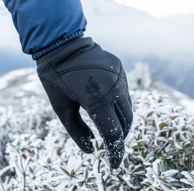 détail gant dans le givre