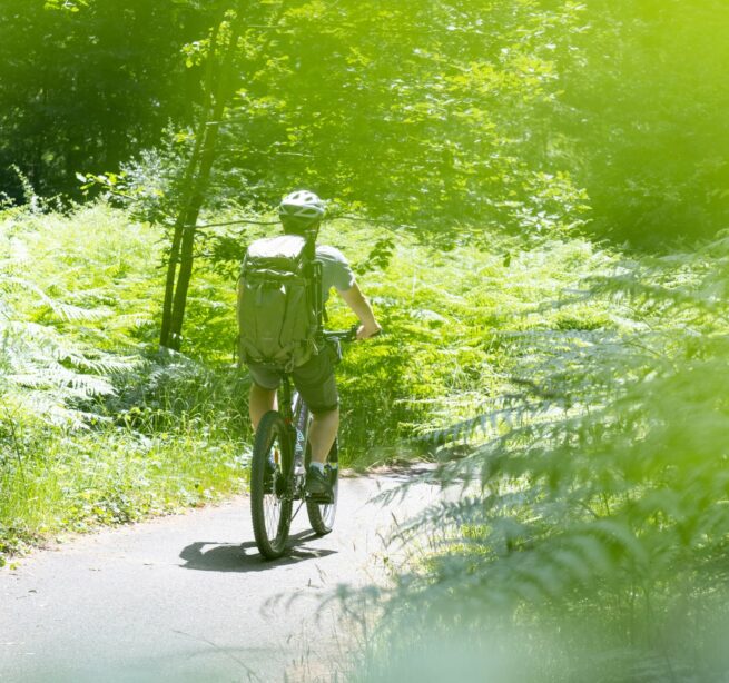 cycliste sur piste cyclable en foret