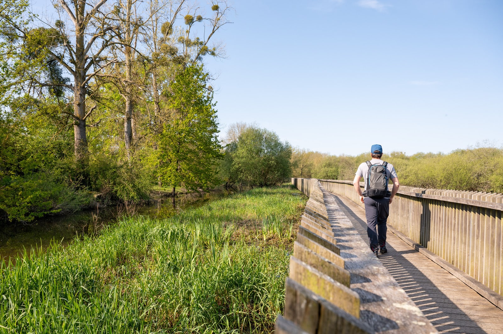 randonnée sur passerelle bois dans une zone humide