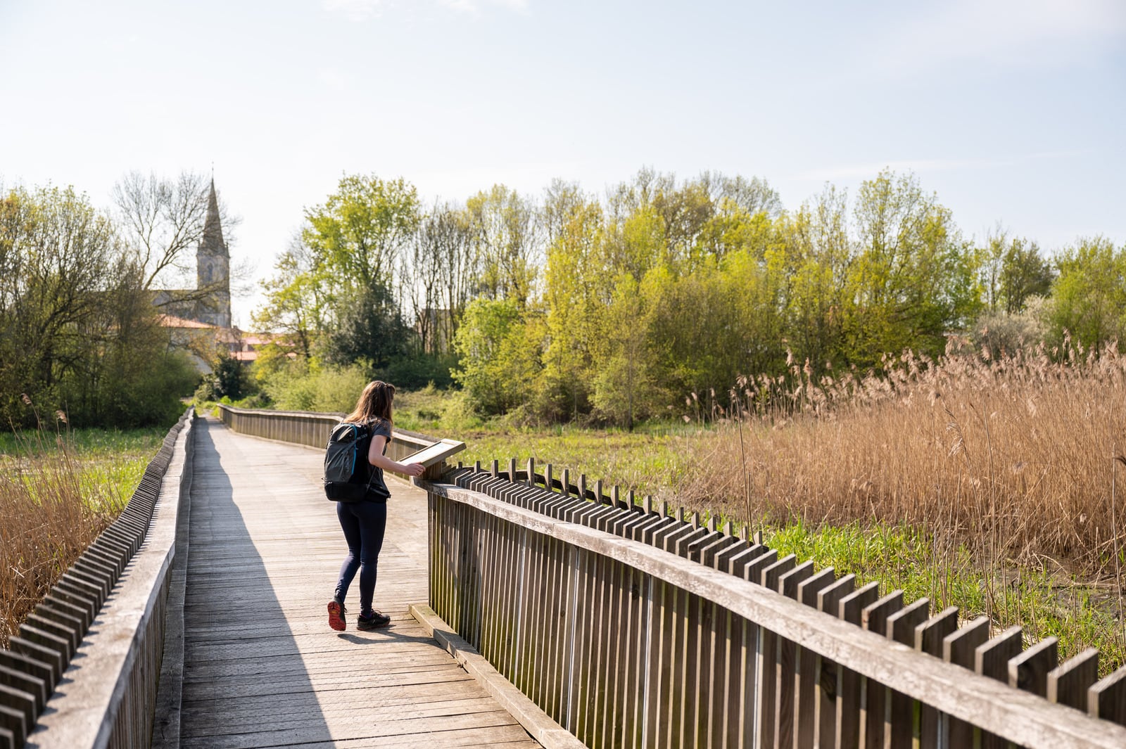 randonnée sur passerelle bois dans une zone humide