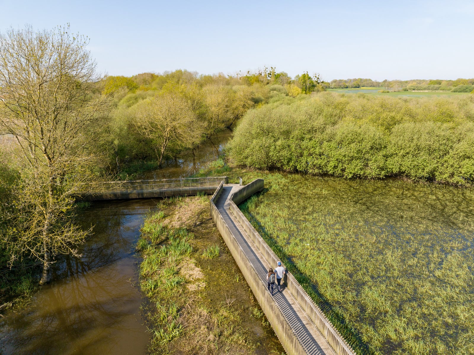 randonnée sur passerelle bois dans une zone humide