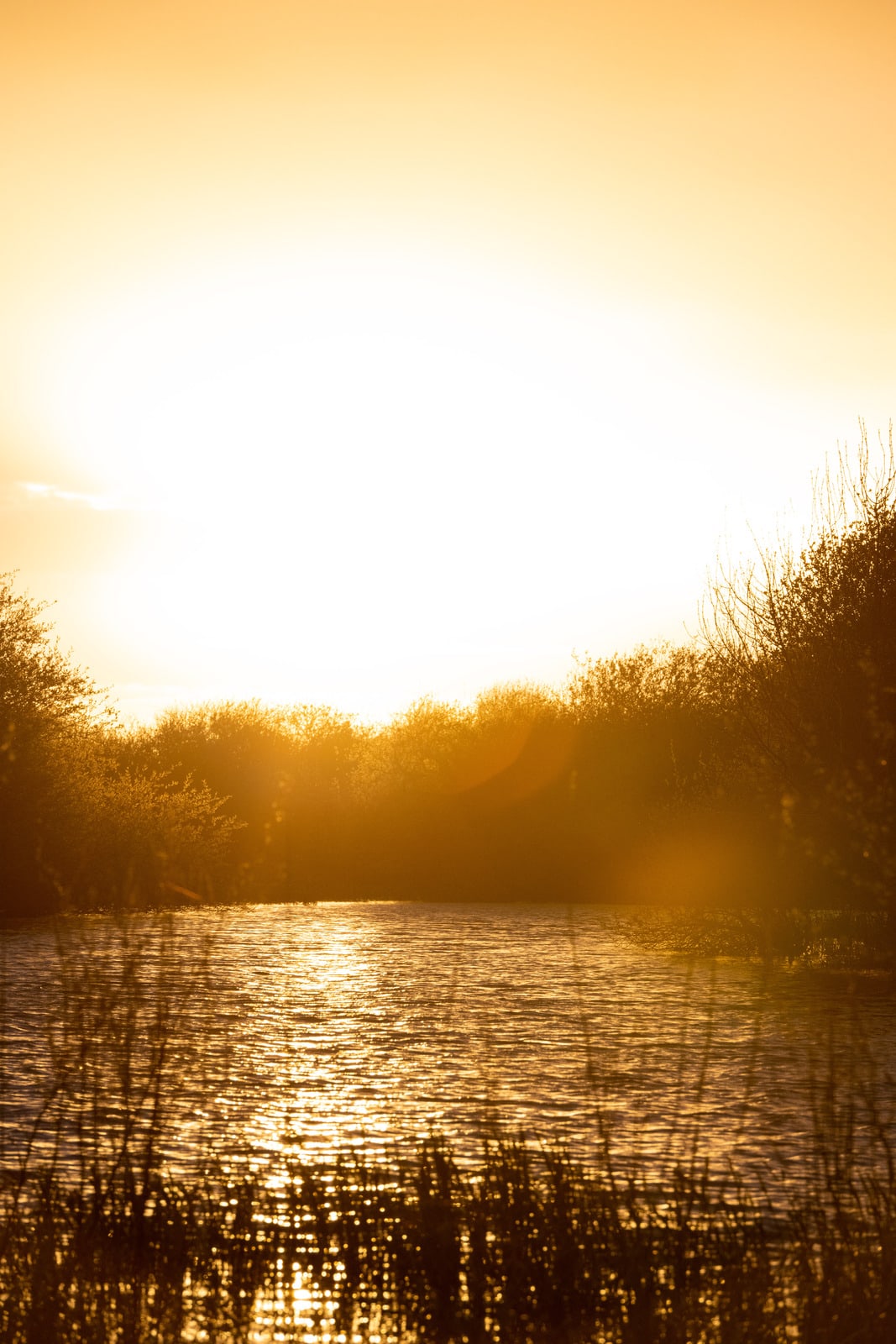 sunset lac de grand Lieu