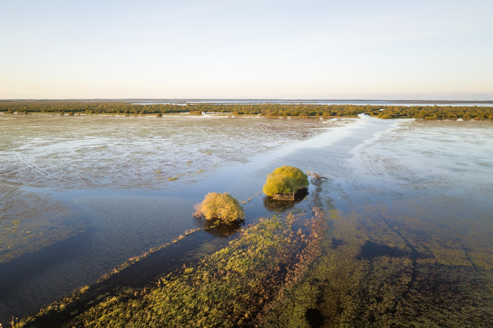 vue lac grand Lieu