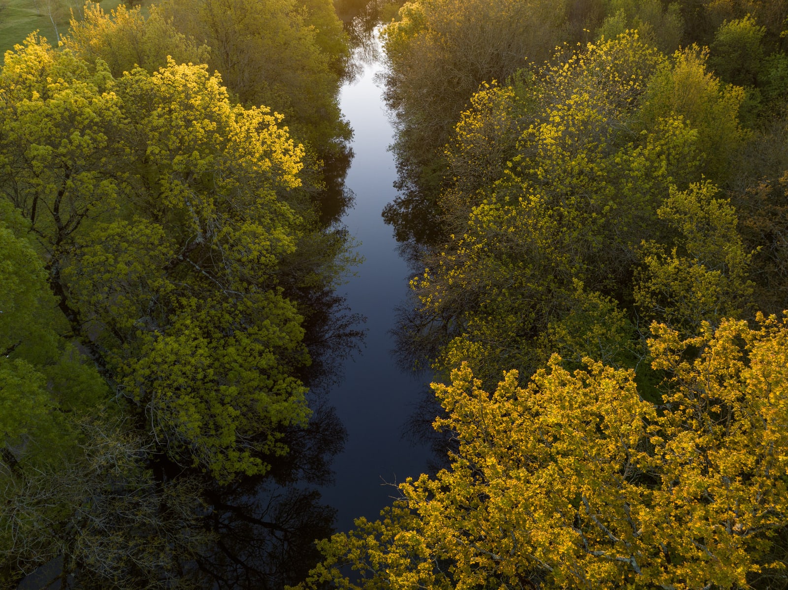 sunrise rivière