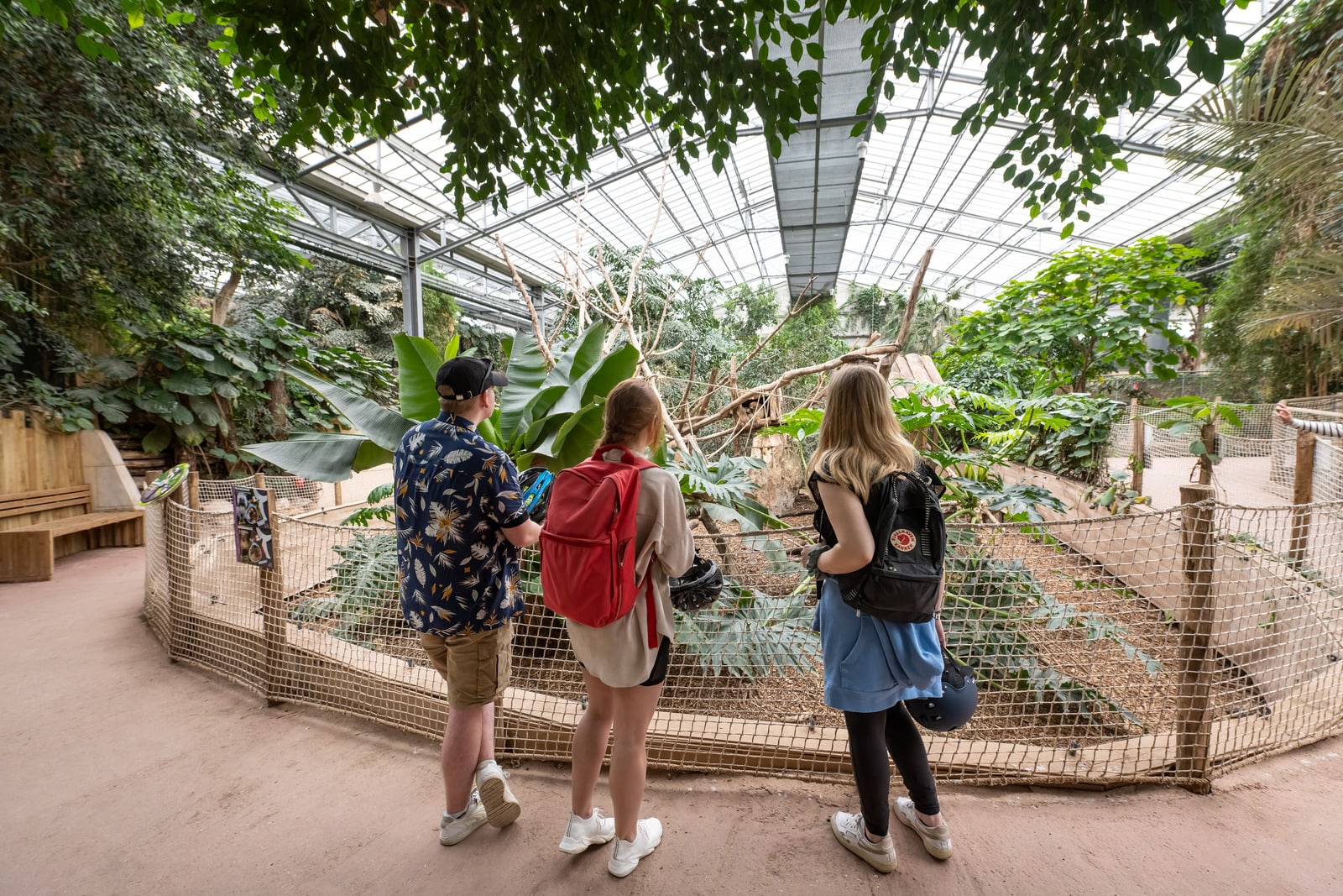 Trois cyclistes de passage dans une serre tropicale