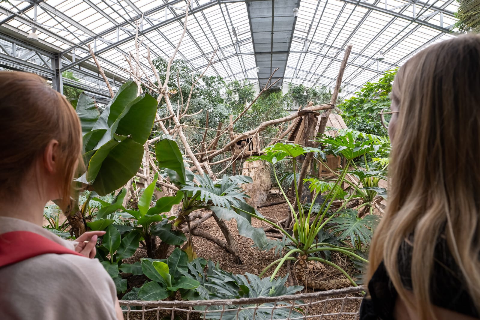 Deux amies dans une serre tropicale