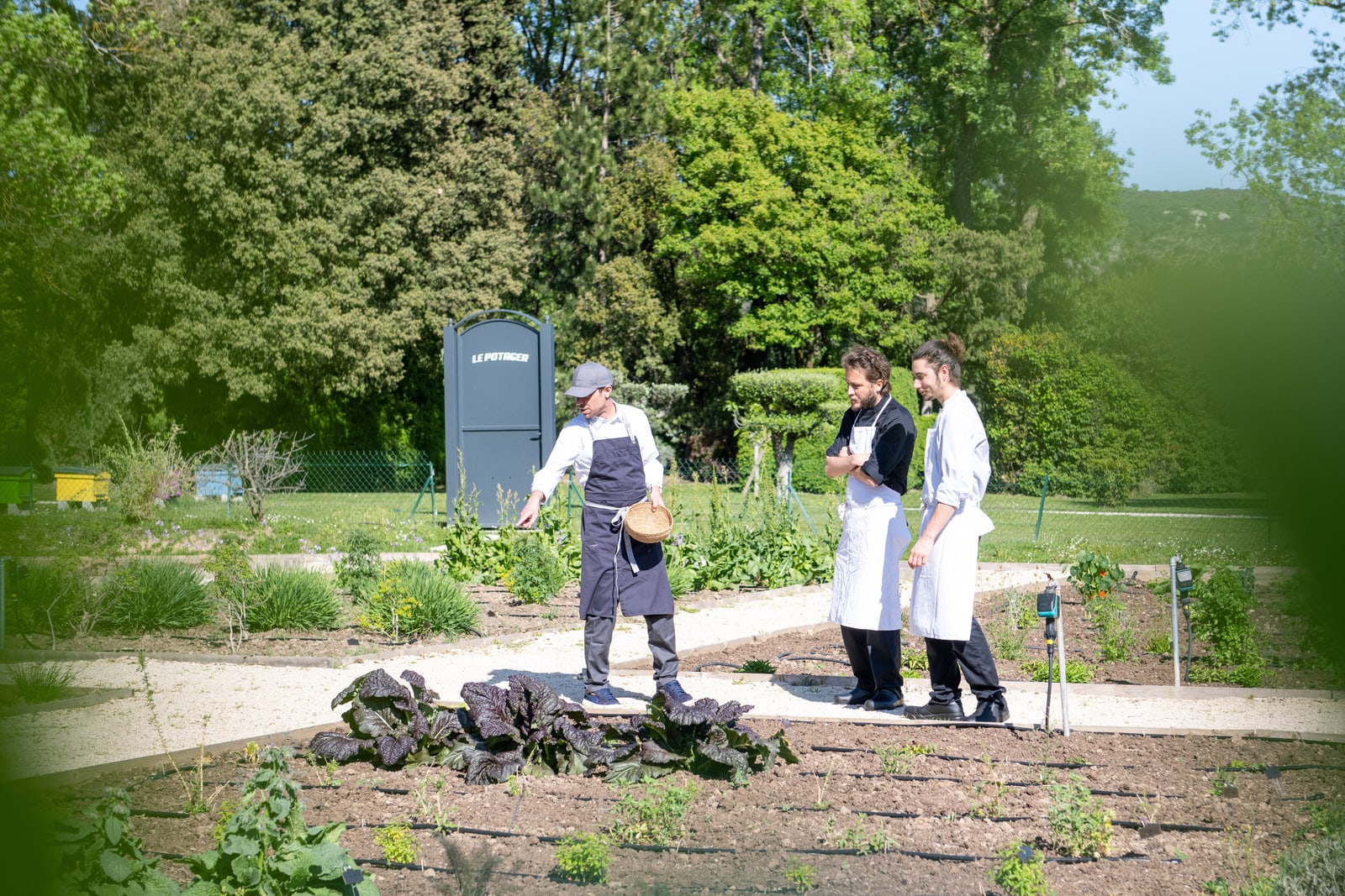 cuisiniers dans le potager