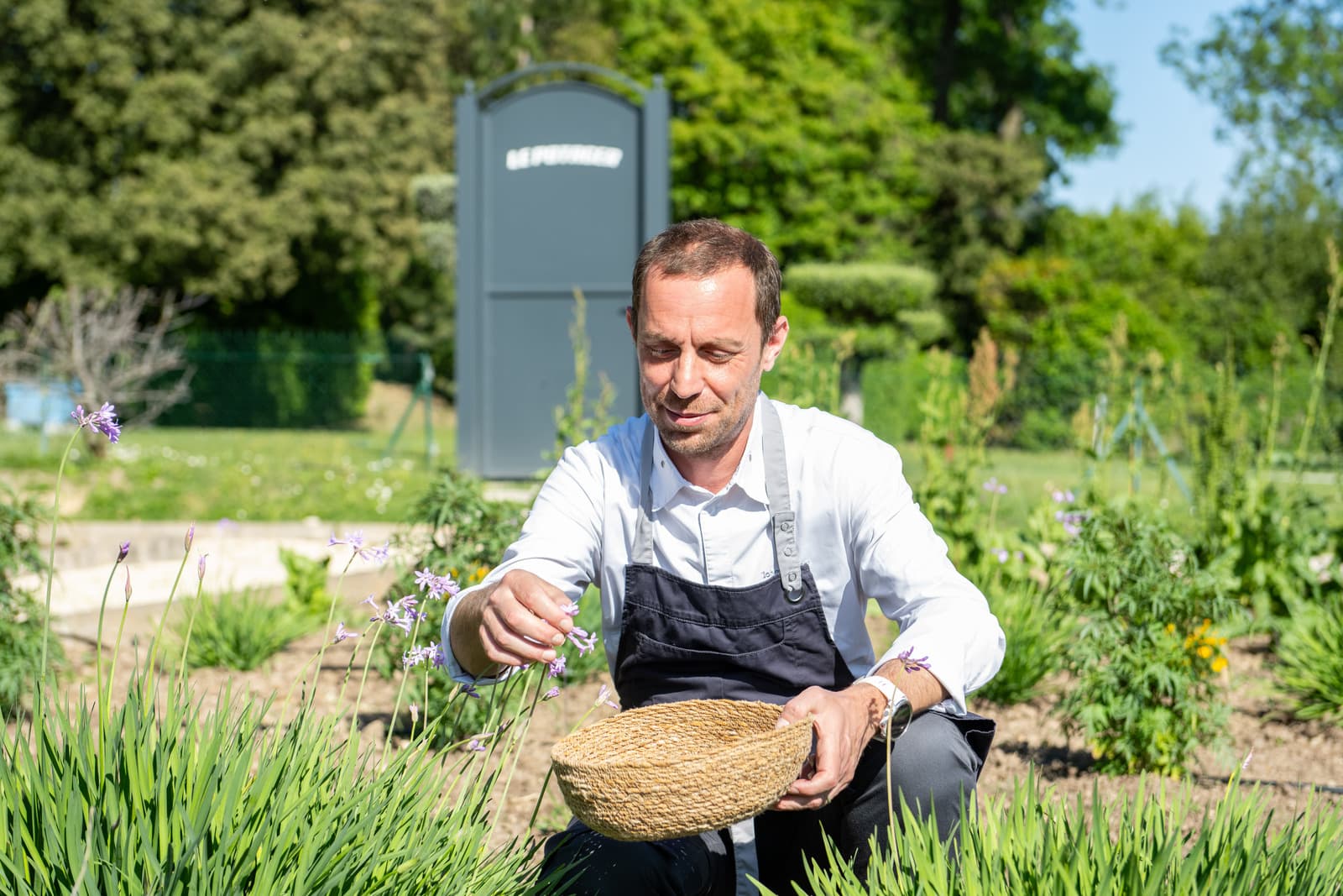 chef cuisinier cueille des plantes