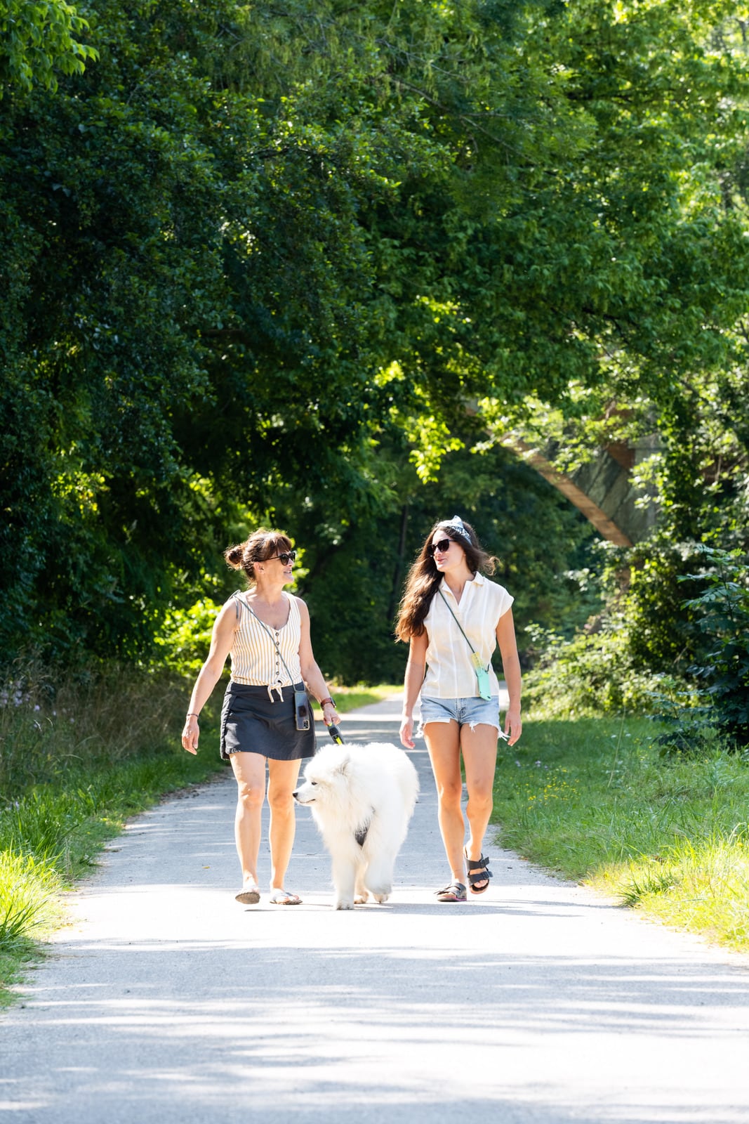 promeneurs avec chien sur voie verte
