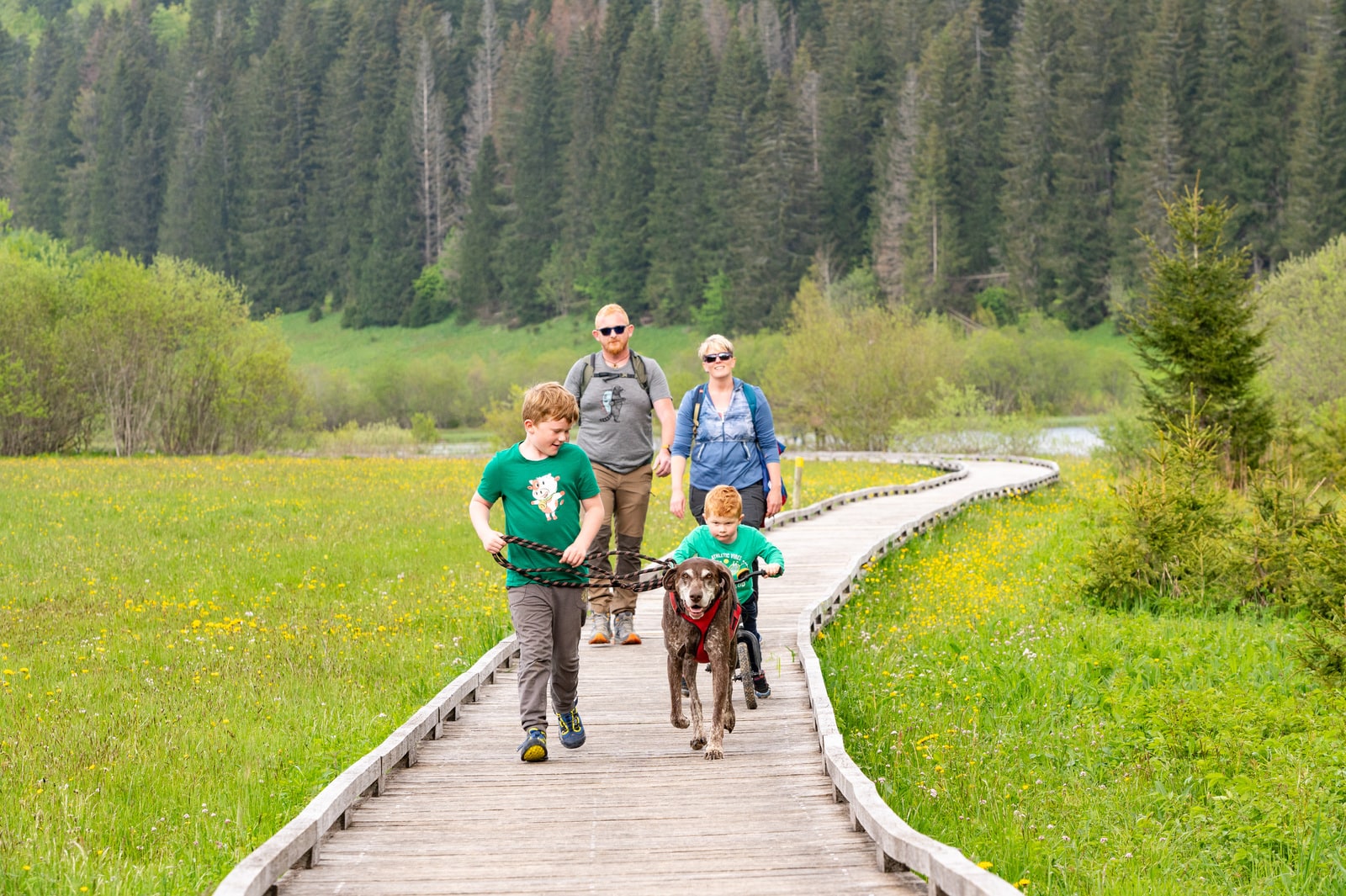 famille se promène sur sentier aménagé