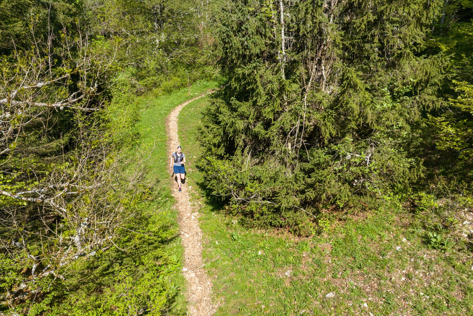 traileuse sur sentier forestier en drone