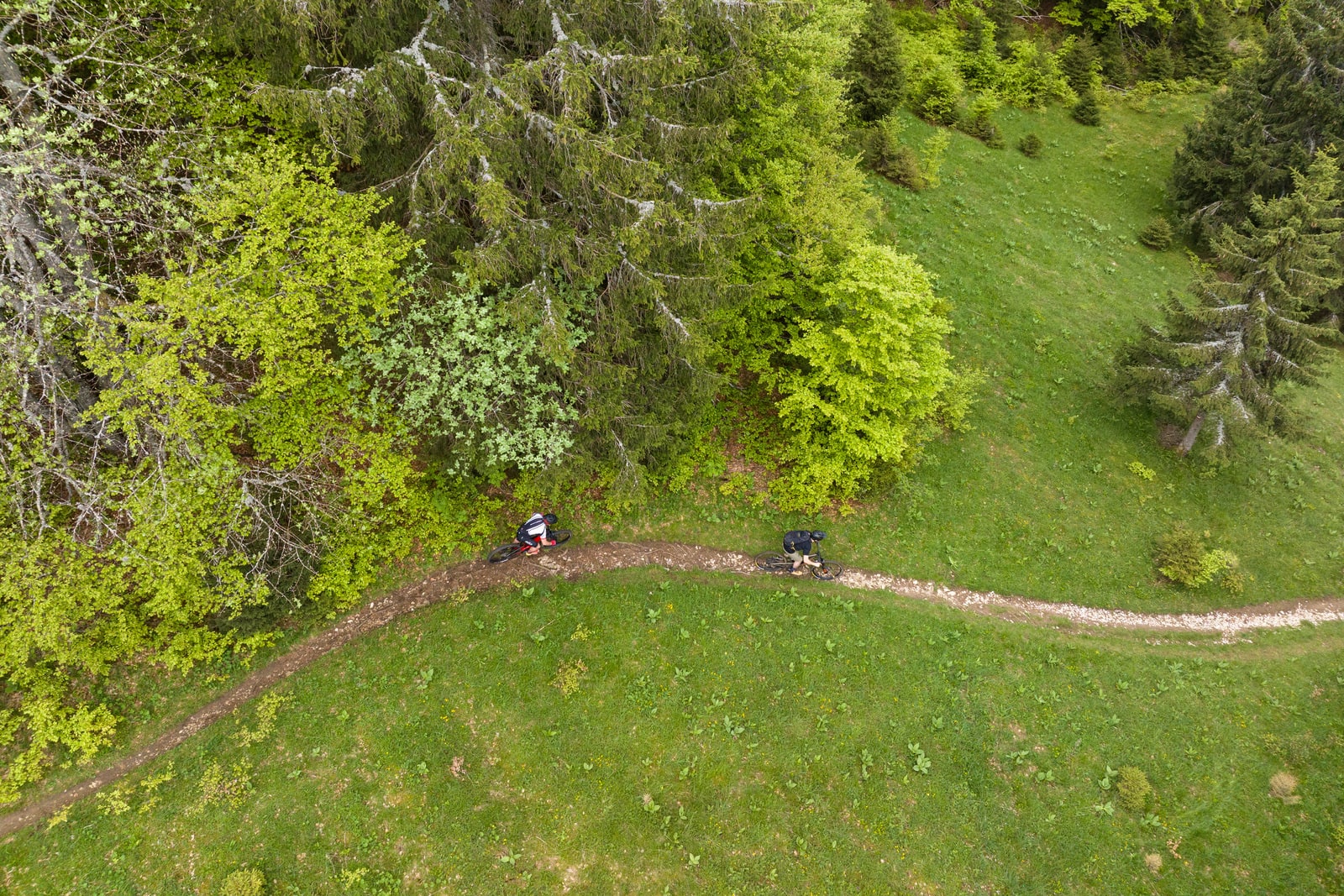 vttistes sur sentier forestier en drone