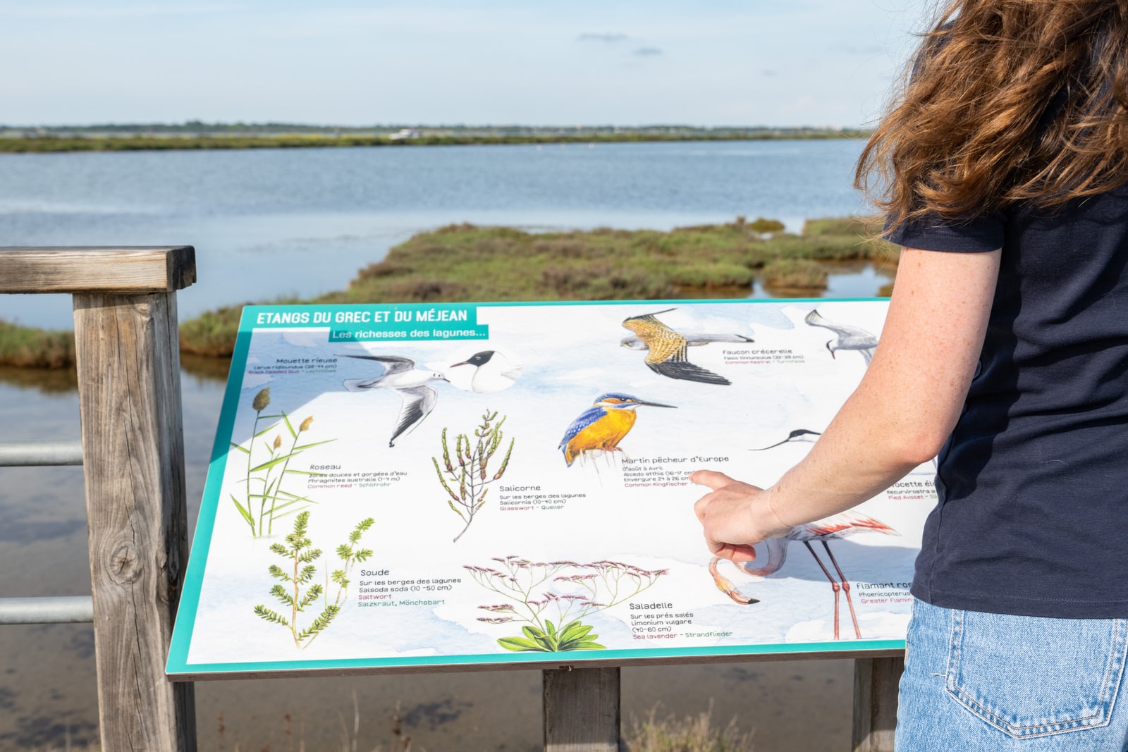 panneau d'information face aux marais avec visiteur qui regarde