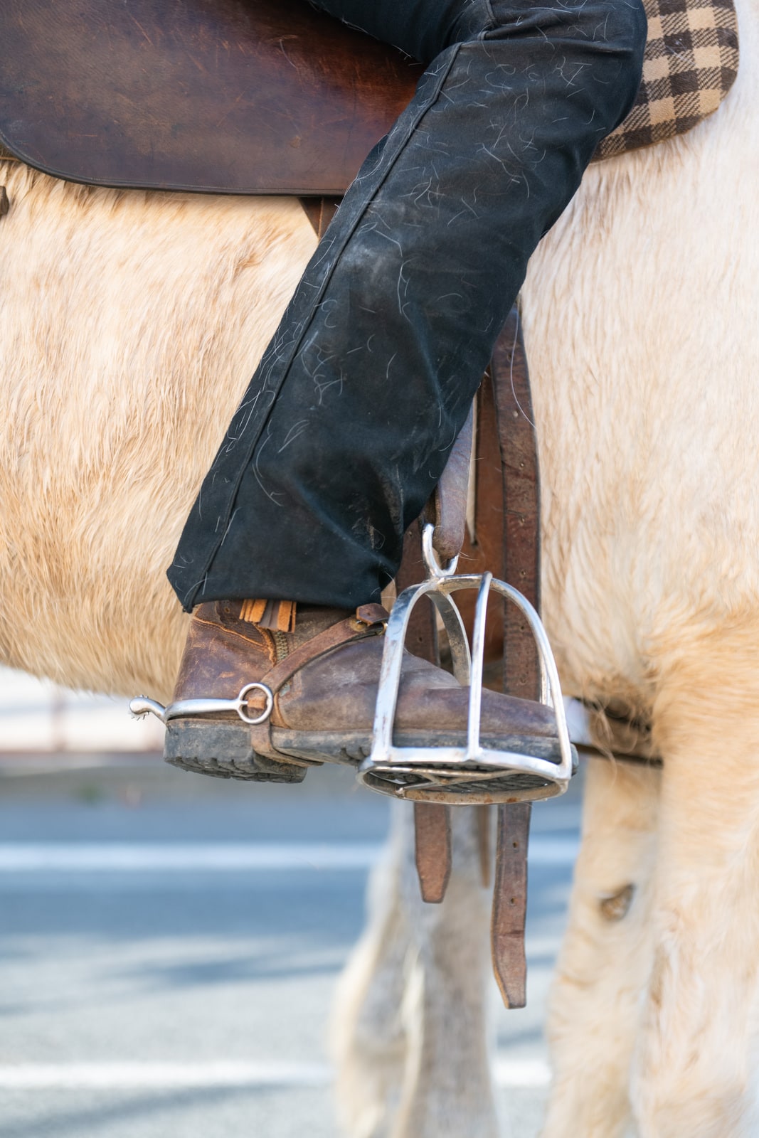 étrier et pied du cavalier