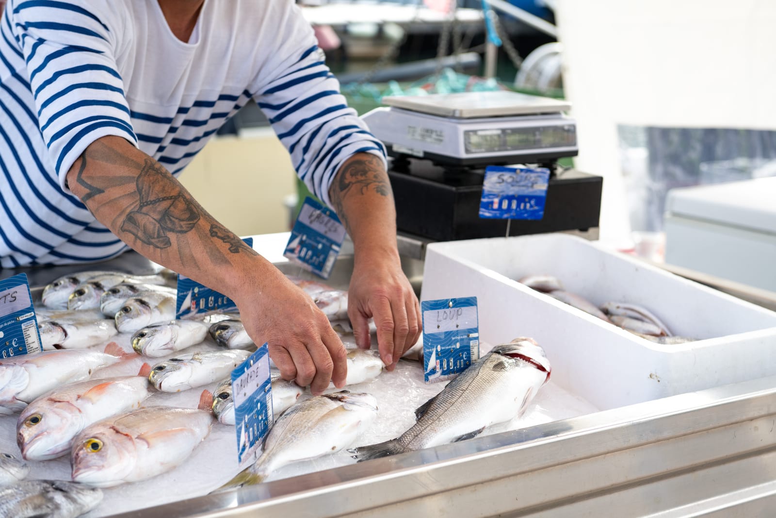 pêcheur installe son étal