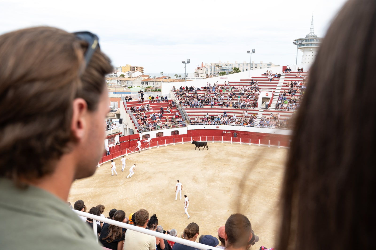 spectacle arène avec taureau