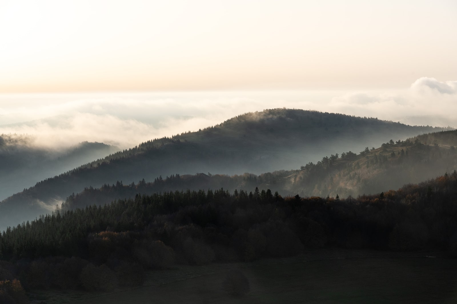 brume sur montagnes