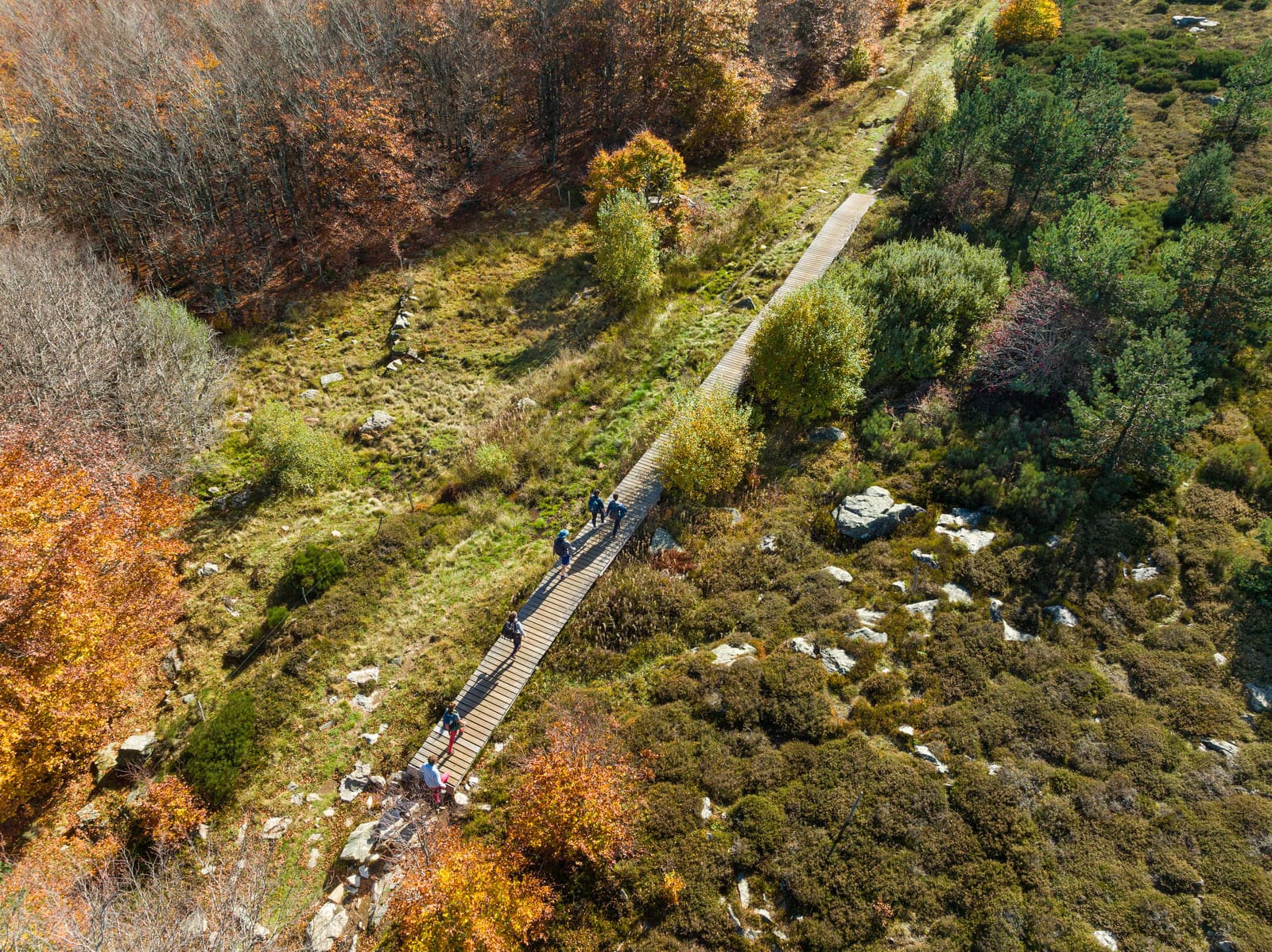 randonneurs sur passerelle en bois