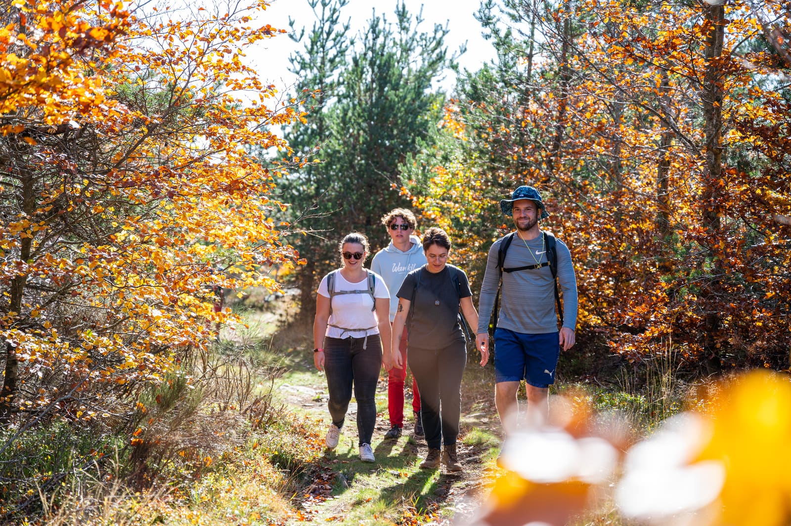 randonneurs en foret