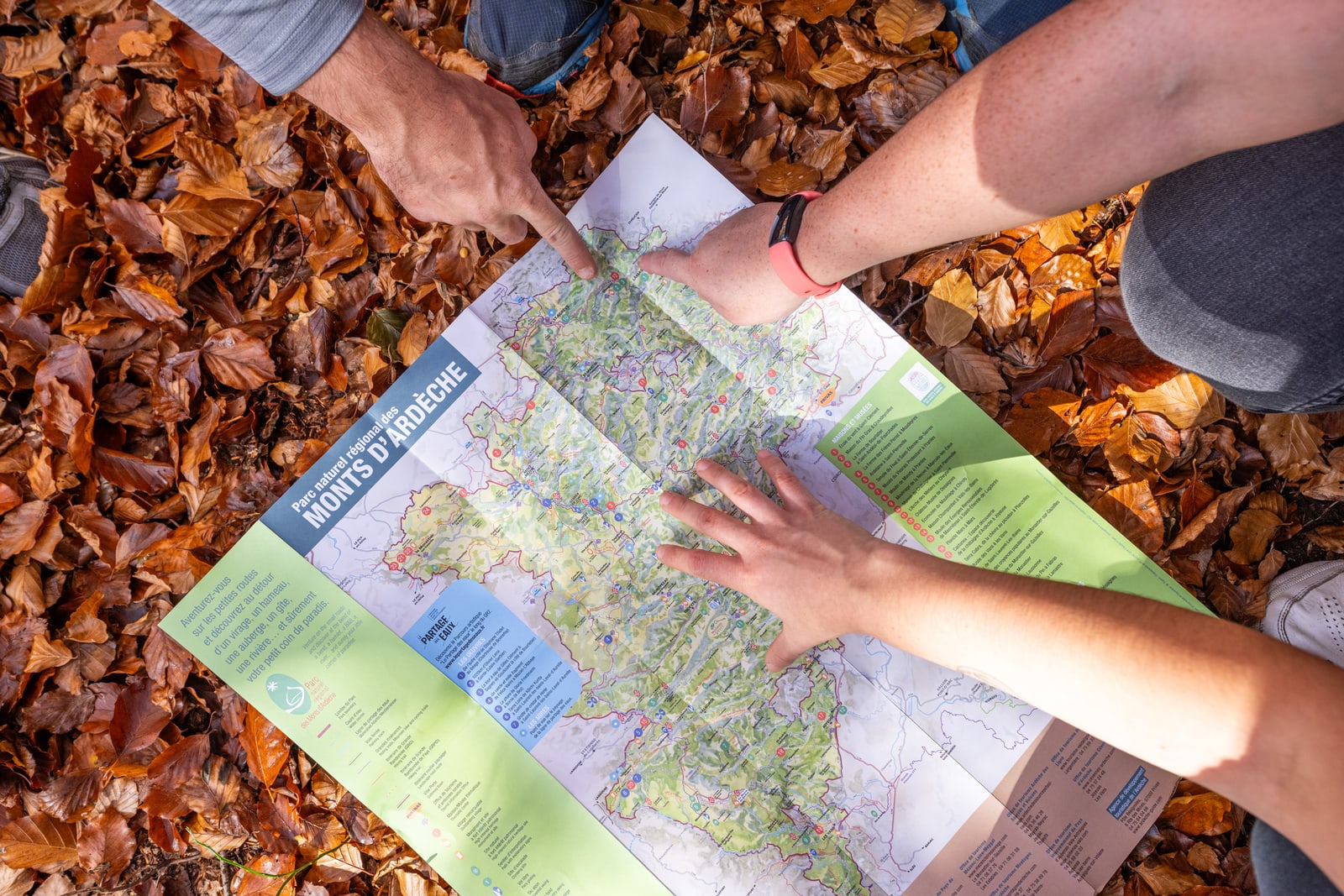 carte sur parterre de feuilles