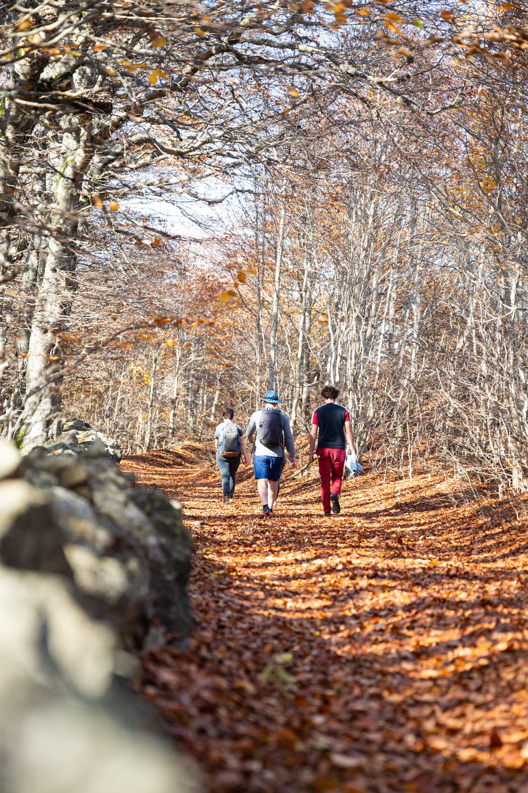 randonneurs sur sentier qui longe un muret