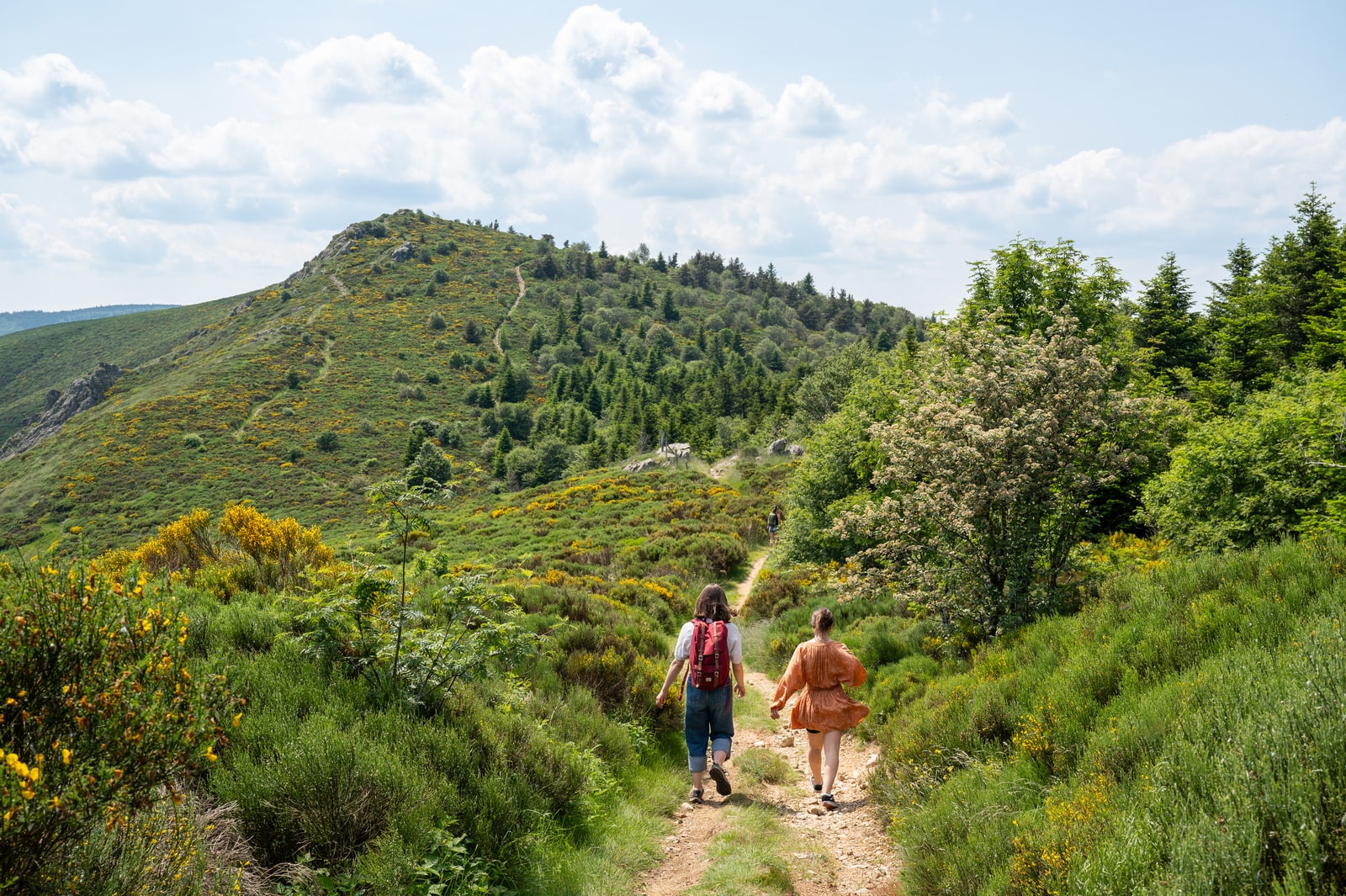 randonneurs sur sentier