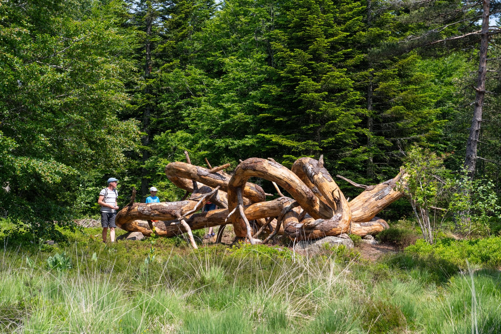 famille autour d'un oeuvre d'art en bois