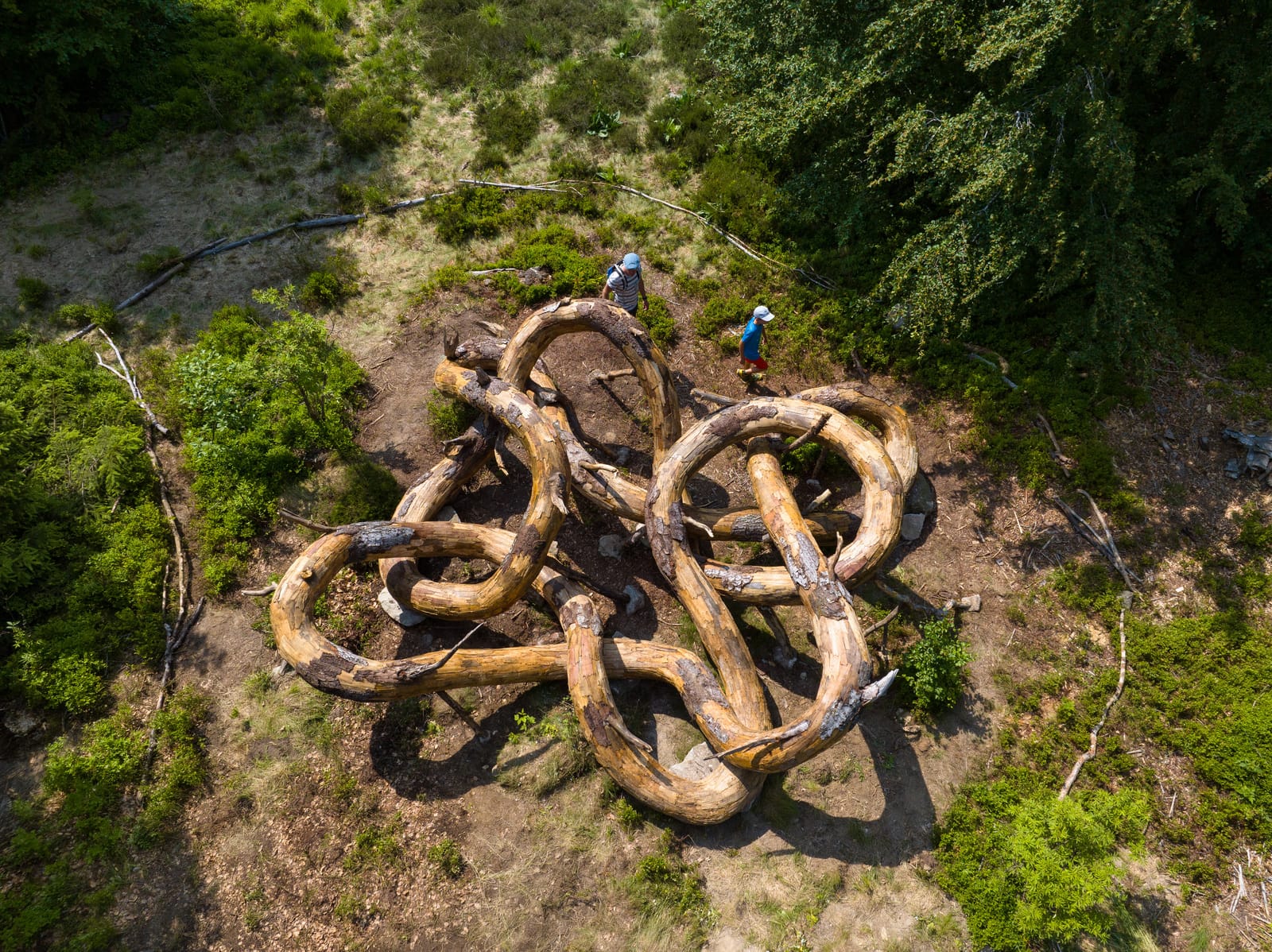 famille autour d'un oeuvre d'art en bois en drone