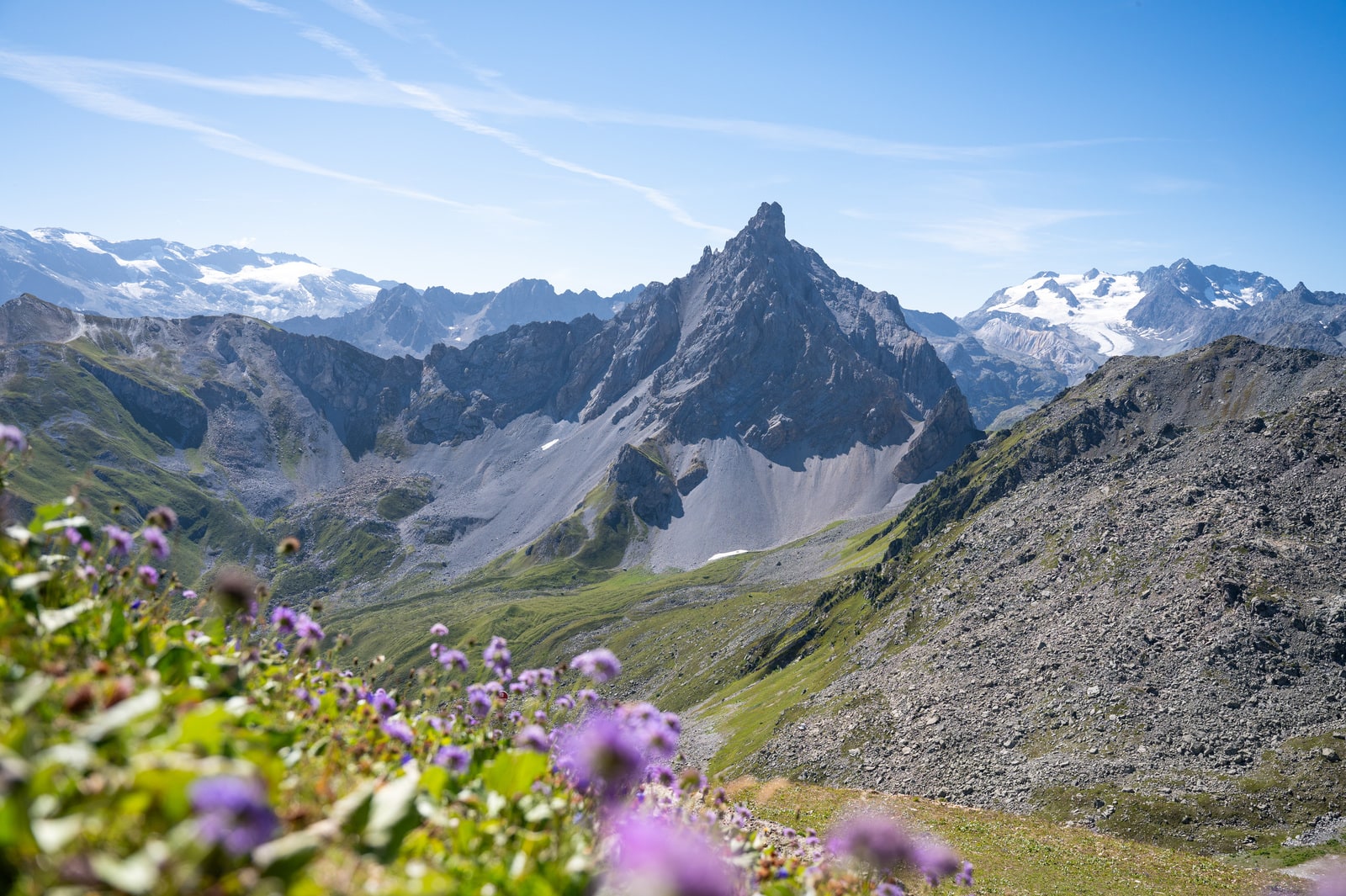 paysage de montagne en été