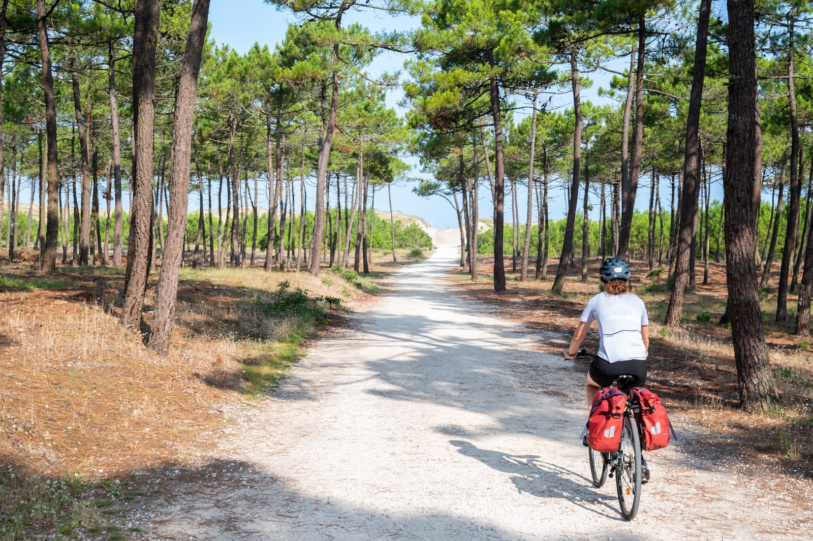 cycliste sur voie verte dans les pins