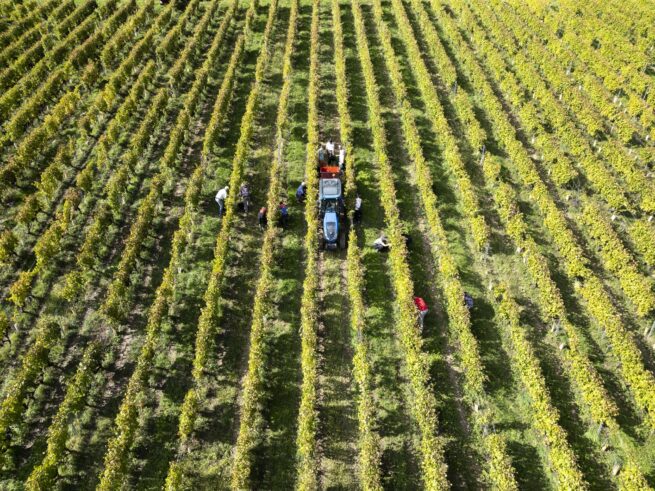 domaine idylle oenotourisme