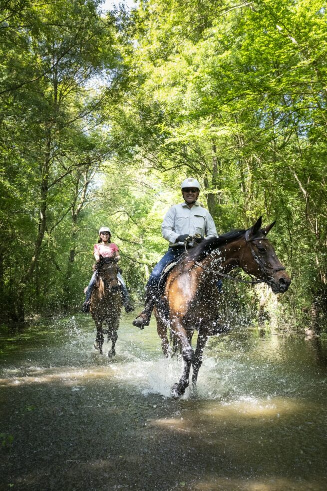 cavaliers traversent une mare
